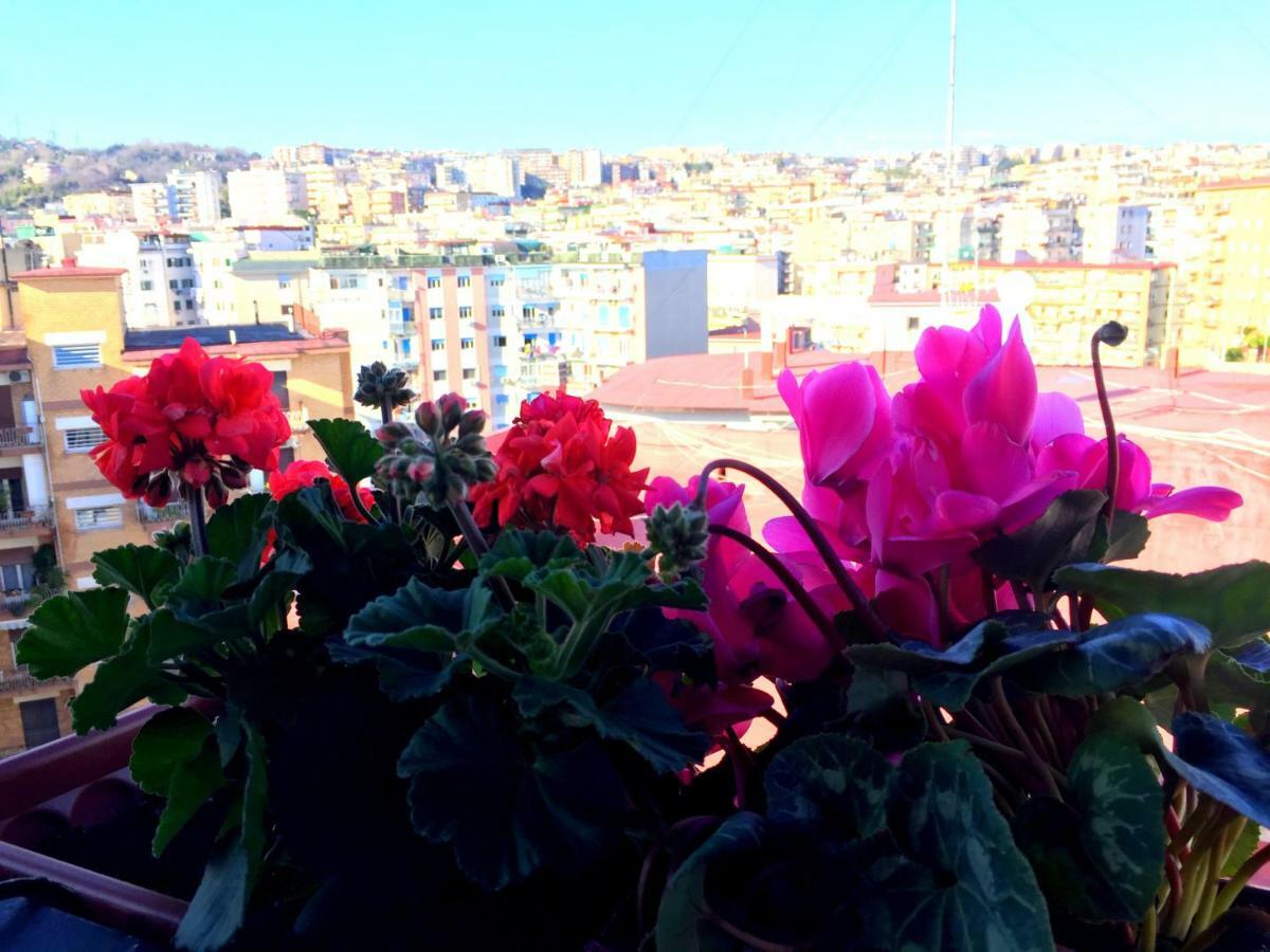 Suite Delicia Apartment - Appartamento Con Terrazza Neapol Exteriér fotografie